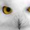 NOrun