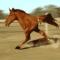 moroz_2780