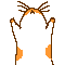 chaos_bird
