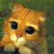 bNet