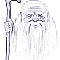EVolga