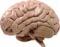 Grey_Matter
