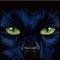 wildwolf777