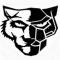 Taddy_WildCat