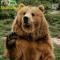 balu463
