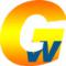 goodwin_laba