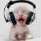 sergius-news