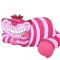 kotstar