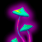 haloki