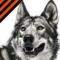 wolf86rus