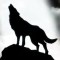 werewolf666