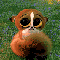 Lisa-Alisa-Don