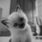napster_777