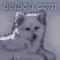 effi