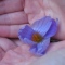 yuirina