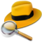 domsvl