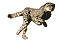 abydacosm