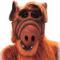Gordon_Shumway