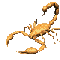 dreemer