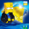 sandreasiv