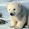 BERING_STRAIT