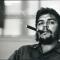 nebrityi