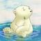 bear12345