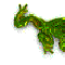 ilia607