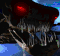 jd_undead
