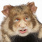 botoxrat