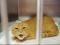 BadCat