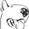 bull-terier