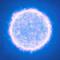 stellar2000