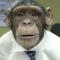 old_monkey