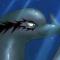 delfin116