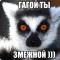 lemur2015
