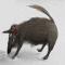 co6aka