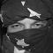 Stephan_Akert