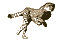 yw64