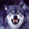 Wolfgott