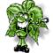 -CannabiS-