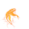 birdsole