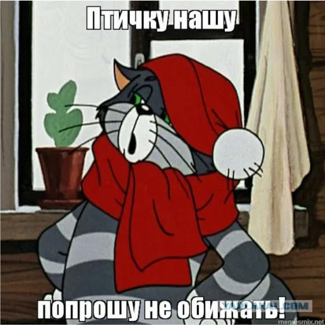 Картинка из комментария
